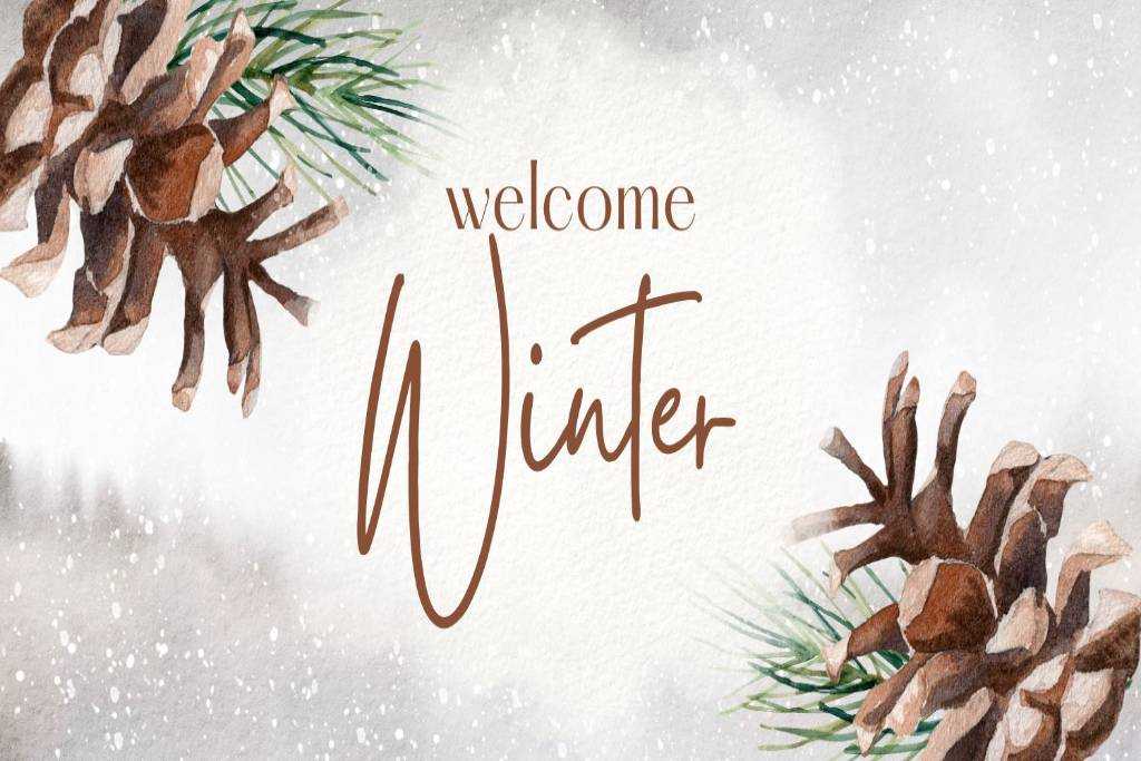 Top Trending Products on Arial Khan This Season